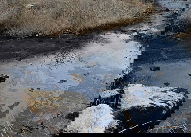 Kemerovo Azot caused damage to the environment estimated at $557 million