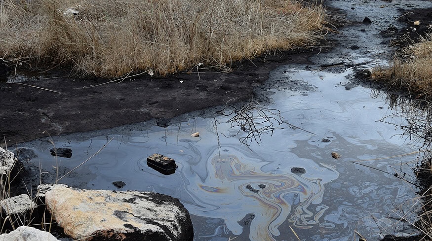 Kemerovo Azot caused damage to the environment estimated at $557 million