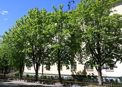 Voskresensk Mineral Fertilizers implemented environment protection measures