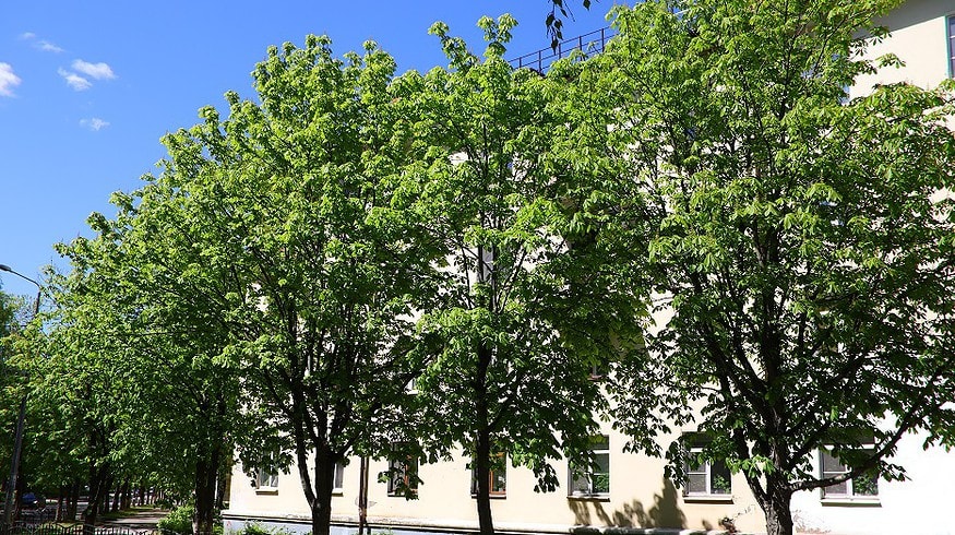 Voskresensk Mineral Fertilizers implemented environment protection measures