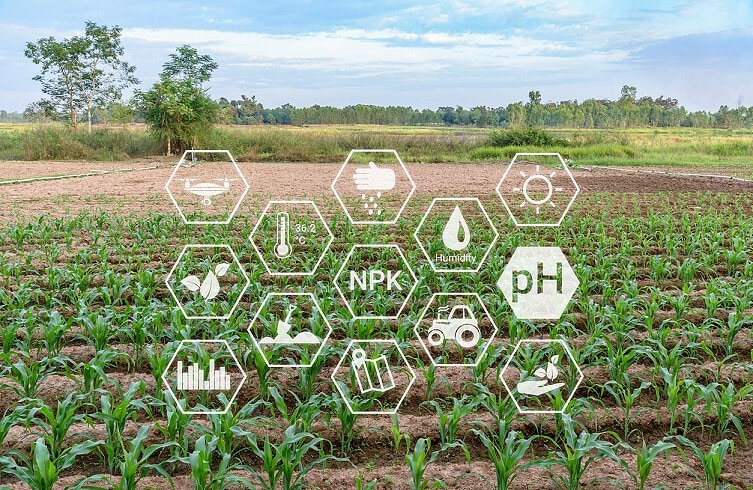 PhosAgro will launch new fertilizer production in Balakovo by 2026