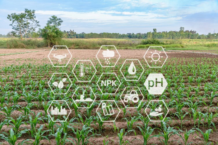 PhosAgro will launch new fertilizer production in Balakovo by 2026