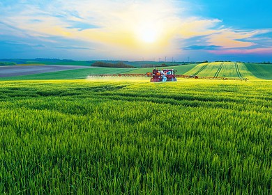 Russia-Brazil Council of Entrepreneurs held a webinar for the Brazilian entrepreneurs