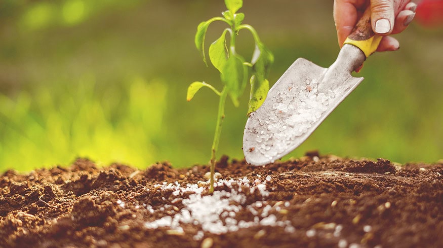 PhosAgro plans to create about 30 new biological products by 2030