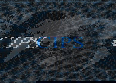 Russian Fertilizer Producers Association suggested using Chinese payment system for fertilizer trade