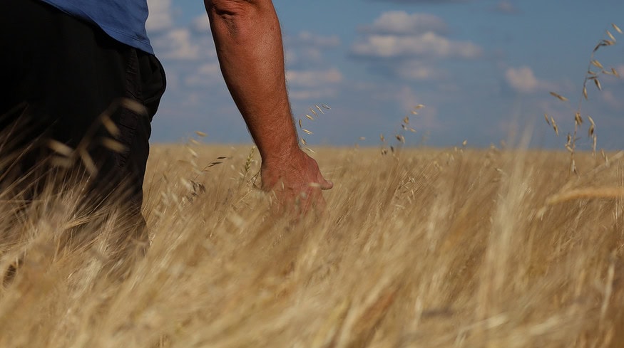 Kazakhstan began to produce fertilizers from coal