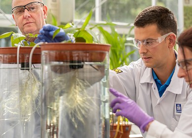 Yara will build a new global plant in UK to produce special crop nutrition