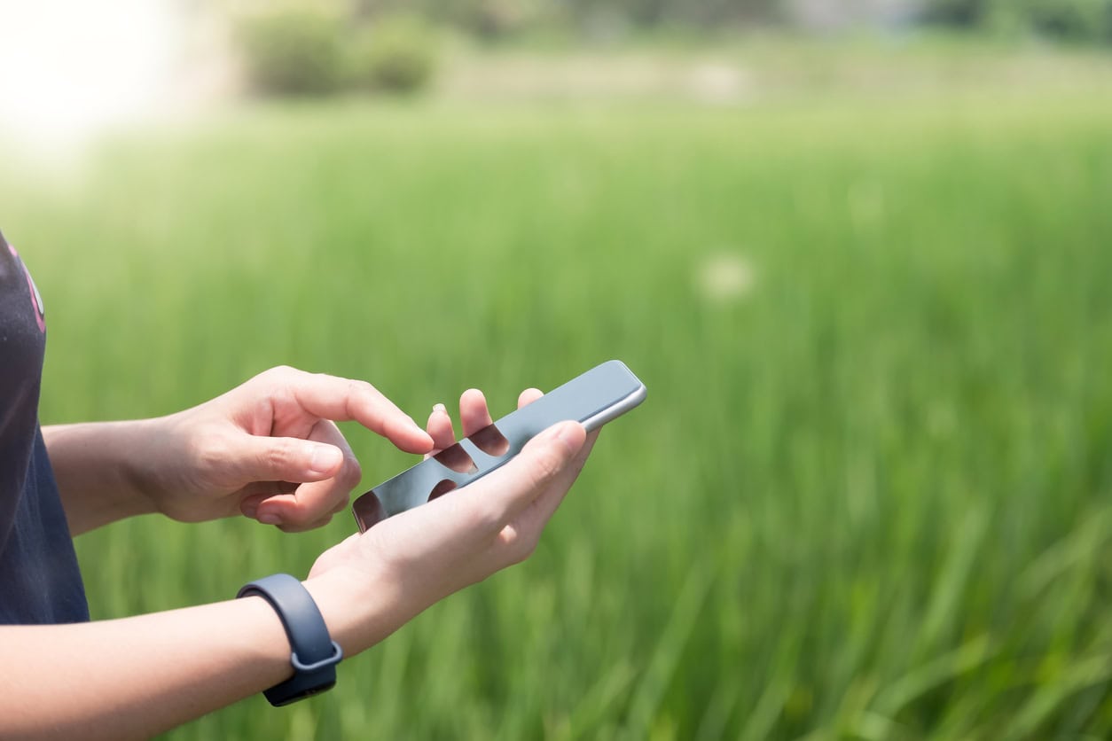 New mobile app will help to increase harvest by planning planting patterns