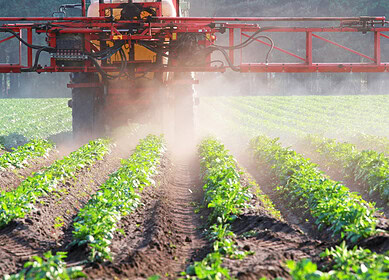 Russian manufacturers of plant protection products gained major domestic market share