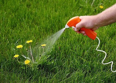 Russia has doubled the herbicides production over the past six years