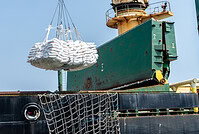 India’s NFL secures 60,000 metric tons of DAP at $920s/t as peak import season begins