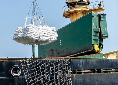 India’s NFL secures 60,000 metric tons of DAP at $920s/t as peak import season begins