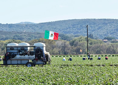 Avgust registered its first plant protection product in Mexico