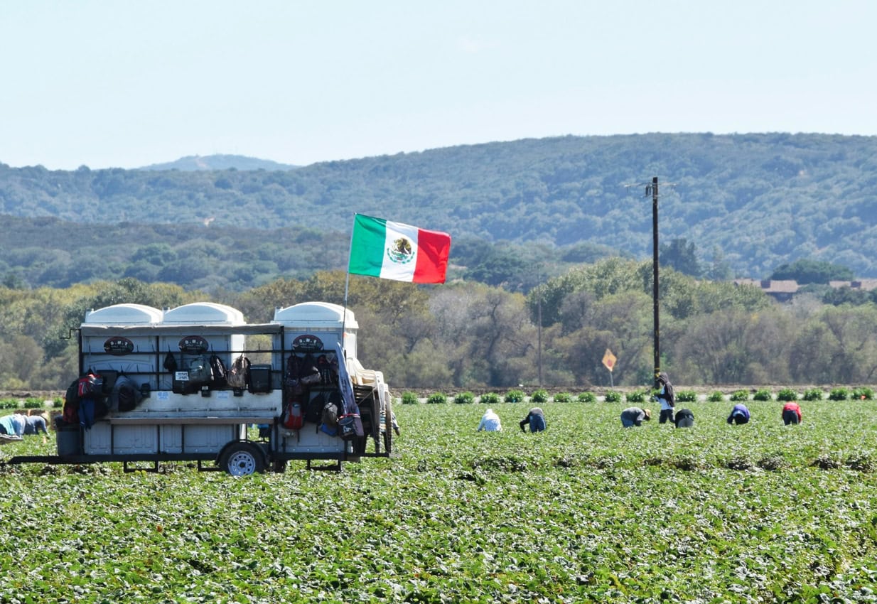 Avgust registered its first plant protection product in Mexico