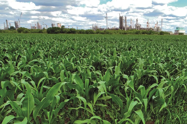 TogliattiAzot published its environmental report for 2022