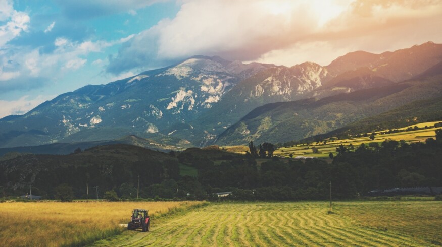 Infographics: The Global Implications of Fertilizer Shortages