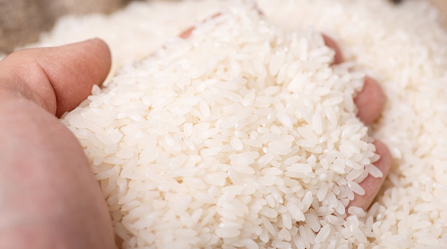 Russia temporarily banned the exports of rice