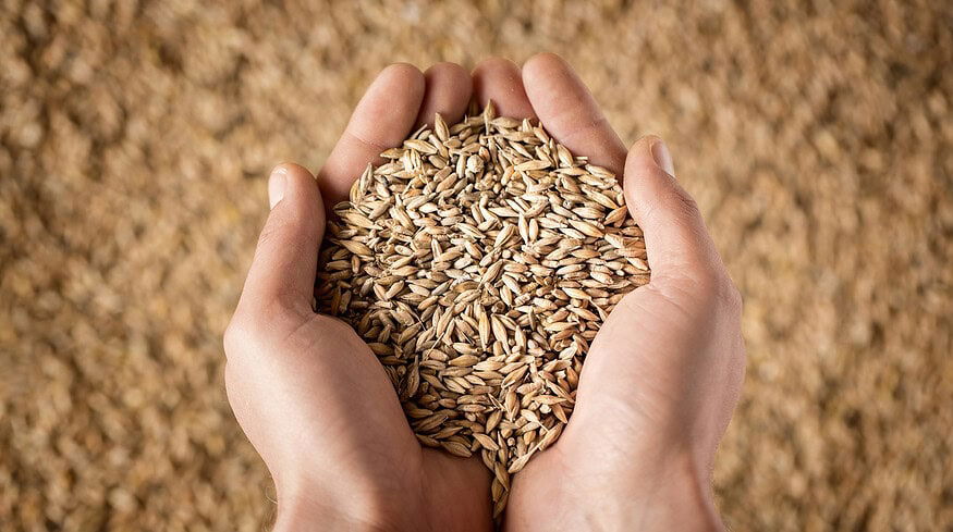 Mali thanked Russia for fertilizer and wheat shipments