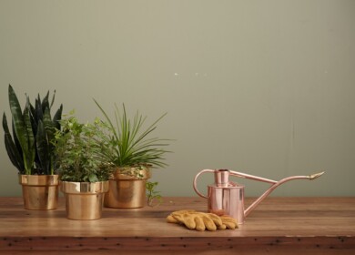 ‘Electroculture’ Gardening: A Trending Phenomenon Under Scrutiny