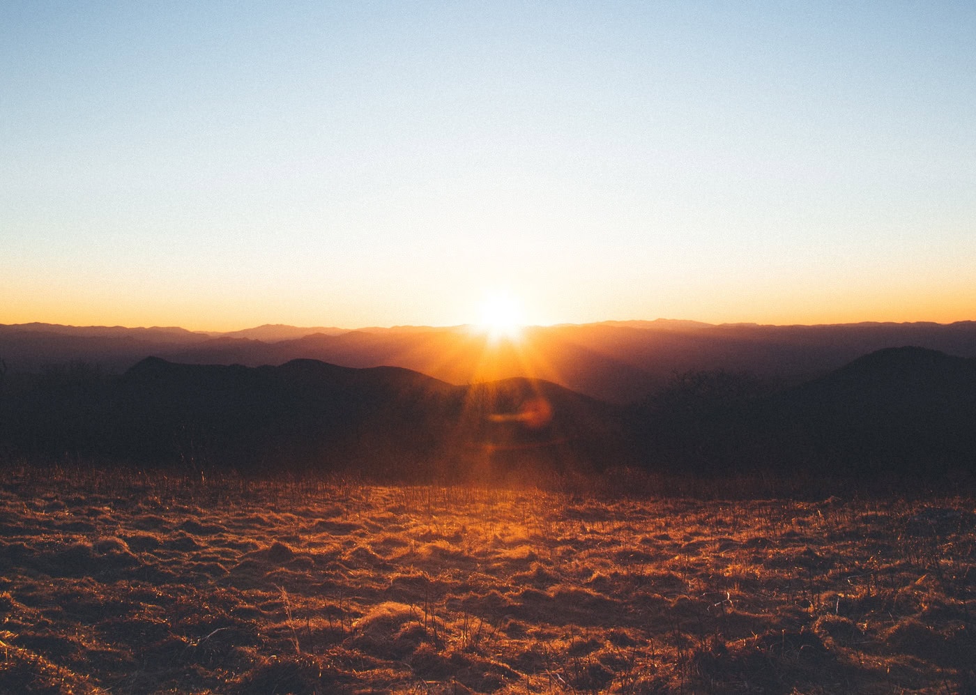 Heat Triggers Swift Food Insecurity, Warns Oxford Research