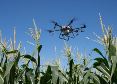 Uralchem will develop regulations for the use of drones to apply fertilizers
