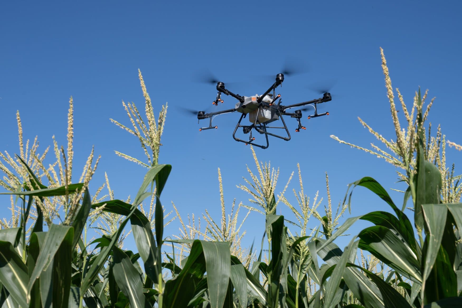 Uralchem will develop regulations for the use of drones to apply fertilizers