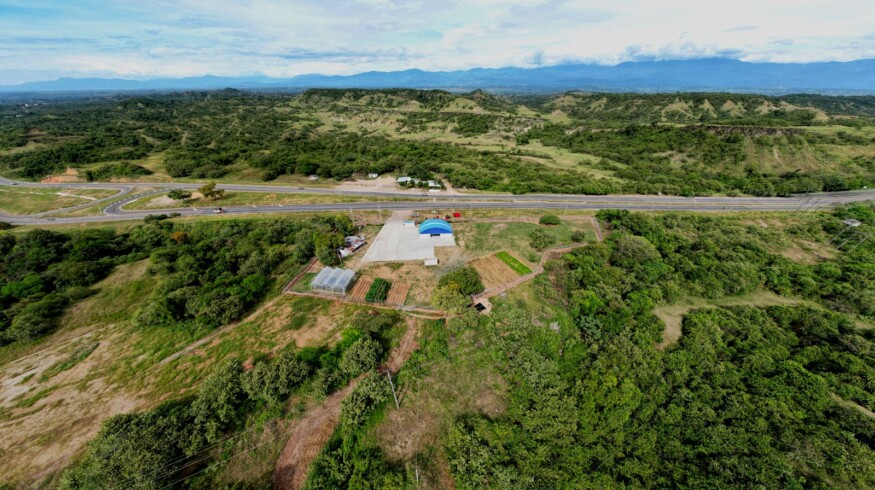 Power Leaves Corp. Gains Regulatory Approval for New Coca-Based Fertilizer