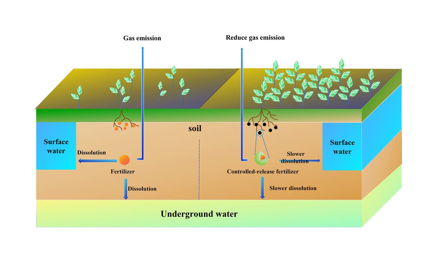 Controlled-Release Fertilizers Show Promise for Sustainable Agriculture