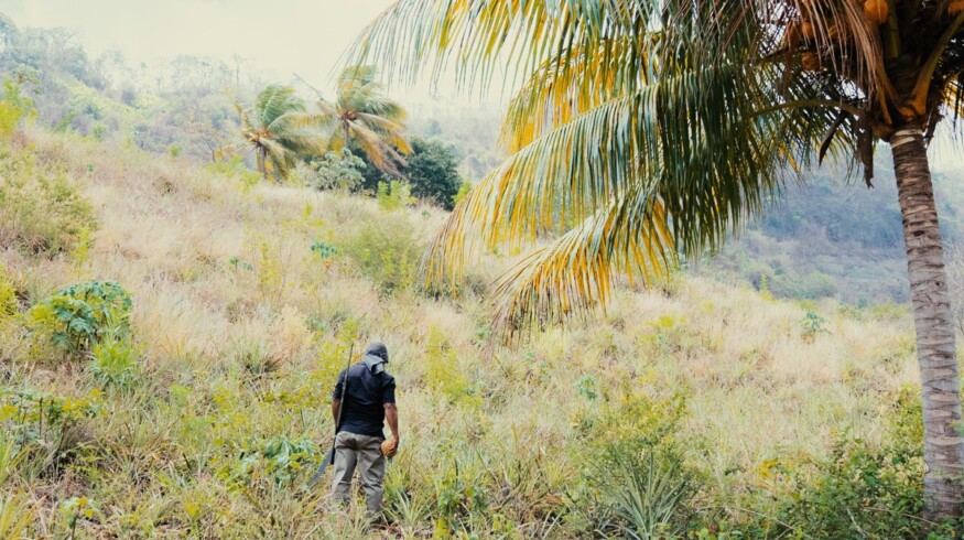 Bayer’s Survey Demonstrates Economic and Climatic Challenges Affecting Farmers