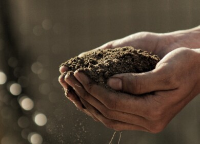 USDA Backs Food and Agriculture Innovators with $12.5 Million Grants