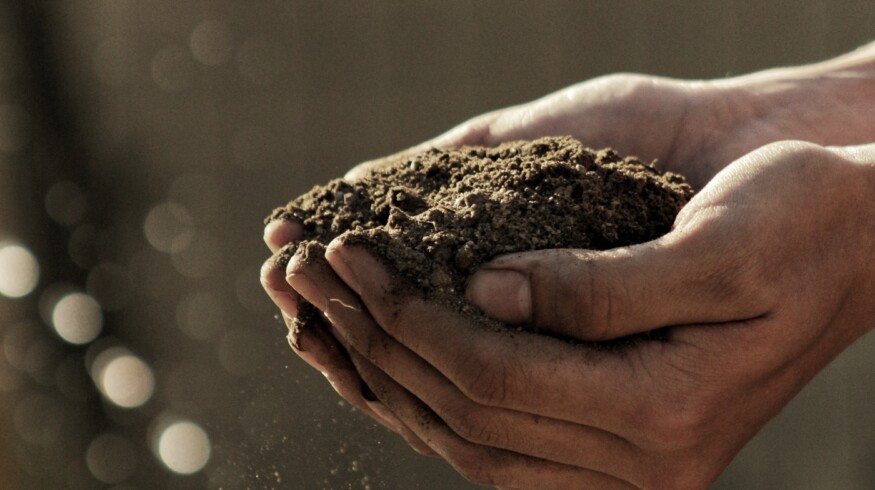 USDA Backs Food and Agriculture Innovators with $12.5 Million Grants