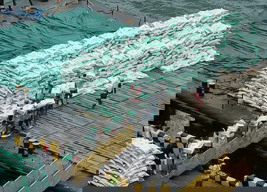 Russia Introduced 7% Export Duty on Mineral Fertilizers Effective From September 2023