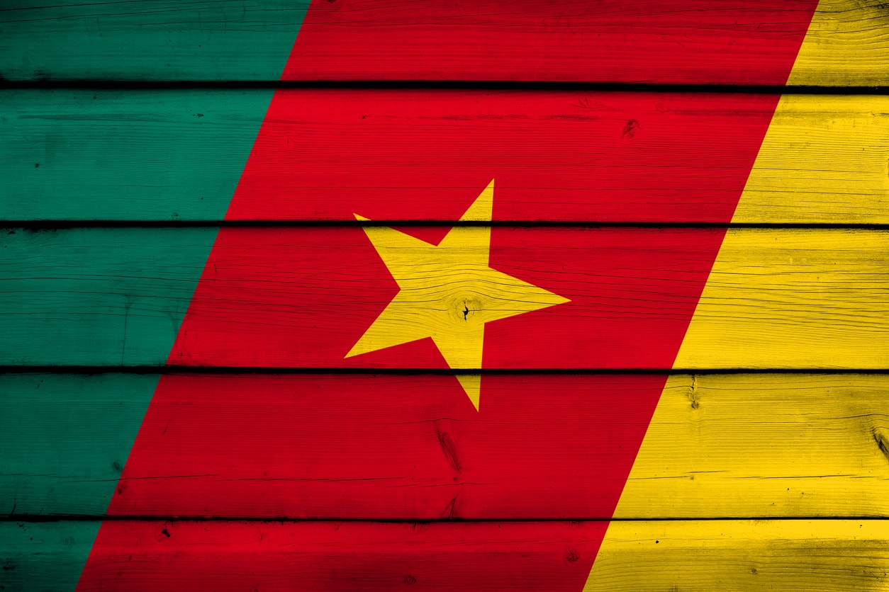 Cameroon Expects Russia Could Help It with Fertilizer Production