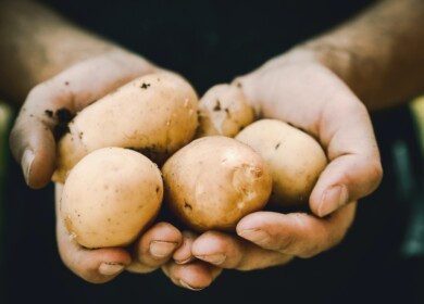 UK’s Largest Potato Supplier Implements Carbon Footprint Reduction Practices