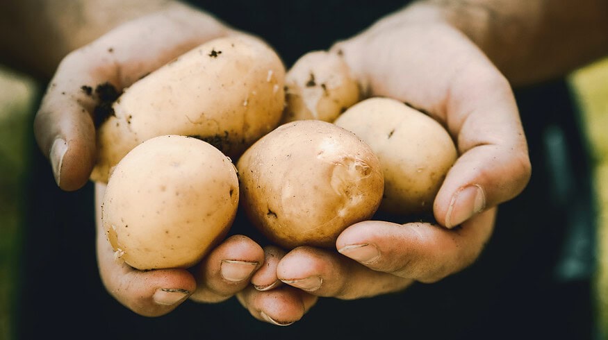 UK’s Largest Potato Supplier Implements Carbon Footprint Reduction Practices
