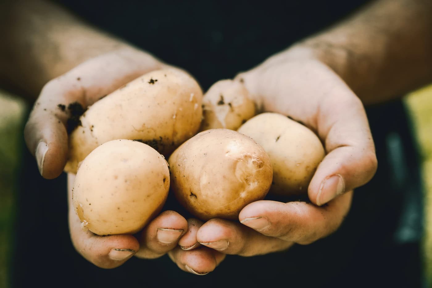 UK’s Largest Potato Supplier Implements Carbon Footprint Reduction Practices