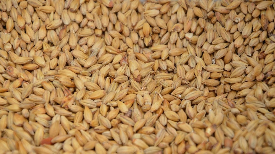 Ukrainian Agricultural Sector Faces $3-4 Billion Annual Losses Due to Insufficient Exports