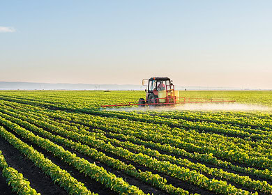 Decades-Long German Study Reveals That Balanced Mineral Fertilizer Essential for Sustainable Agriculture