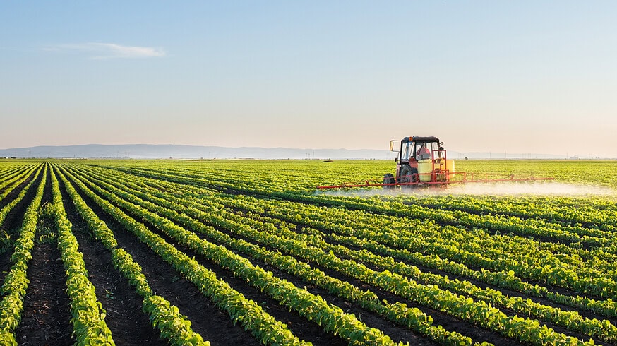 Decades-Long German Study Reveals That Balanced Mineral Fertilizer Essential for Sustainable Agriculture