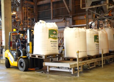 Bolivia’s YPFB and Brazil’s Petrobas considering building new fertilizer plant