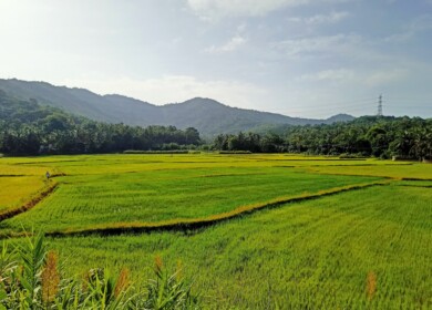 IFFCO opens nano DAP liquid factory in Kalol, Gujarat