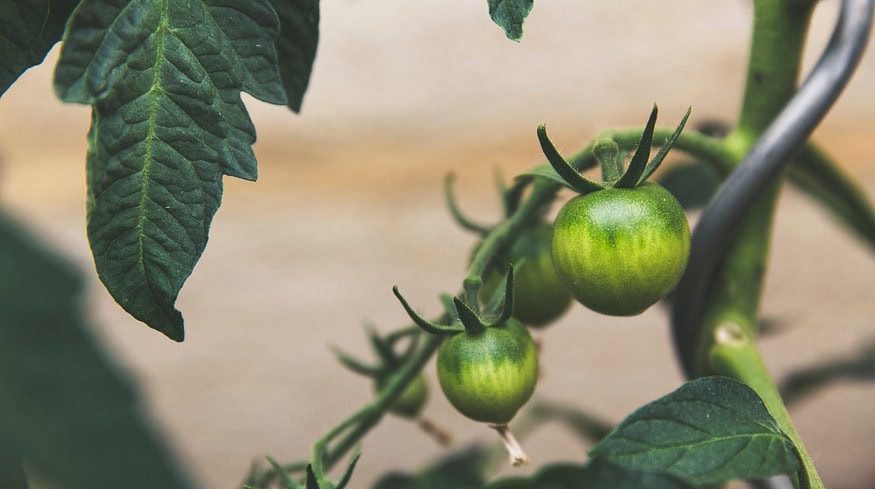 Russia increases fertilizer production volume in 2023