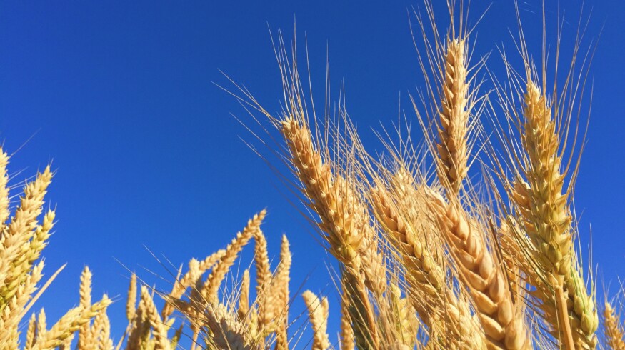 The UN’s top trade official visits Moscow for talks on grain deal