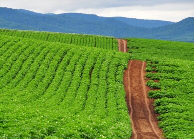 Proman and Mitsubishi plan to build clean ammonia facility in Lake Charles