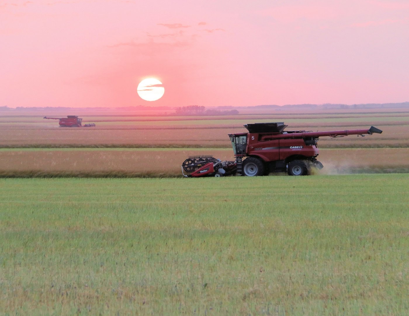 Saskatchewan’s agricultural emissions on the rise, says National Farmers Union report