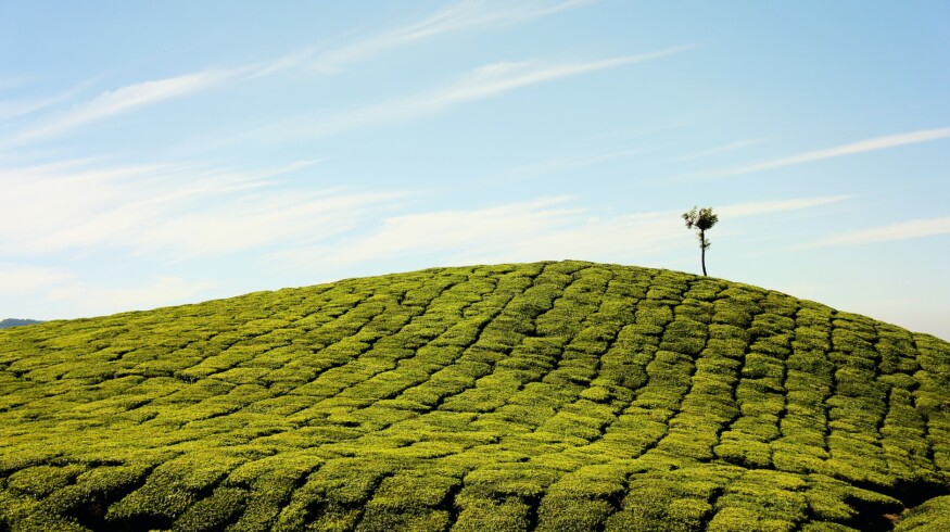 Indian state-owned companies to invest $371.90mn in joint fertilizer venture – Reuters