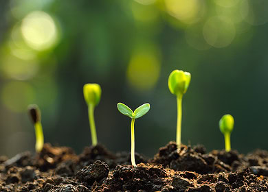 Unlocking fertilizer-free agriculture through dormant plant traits