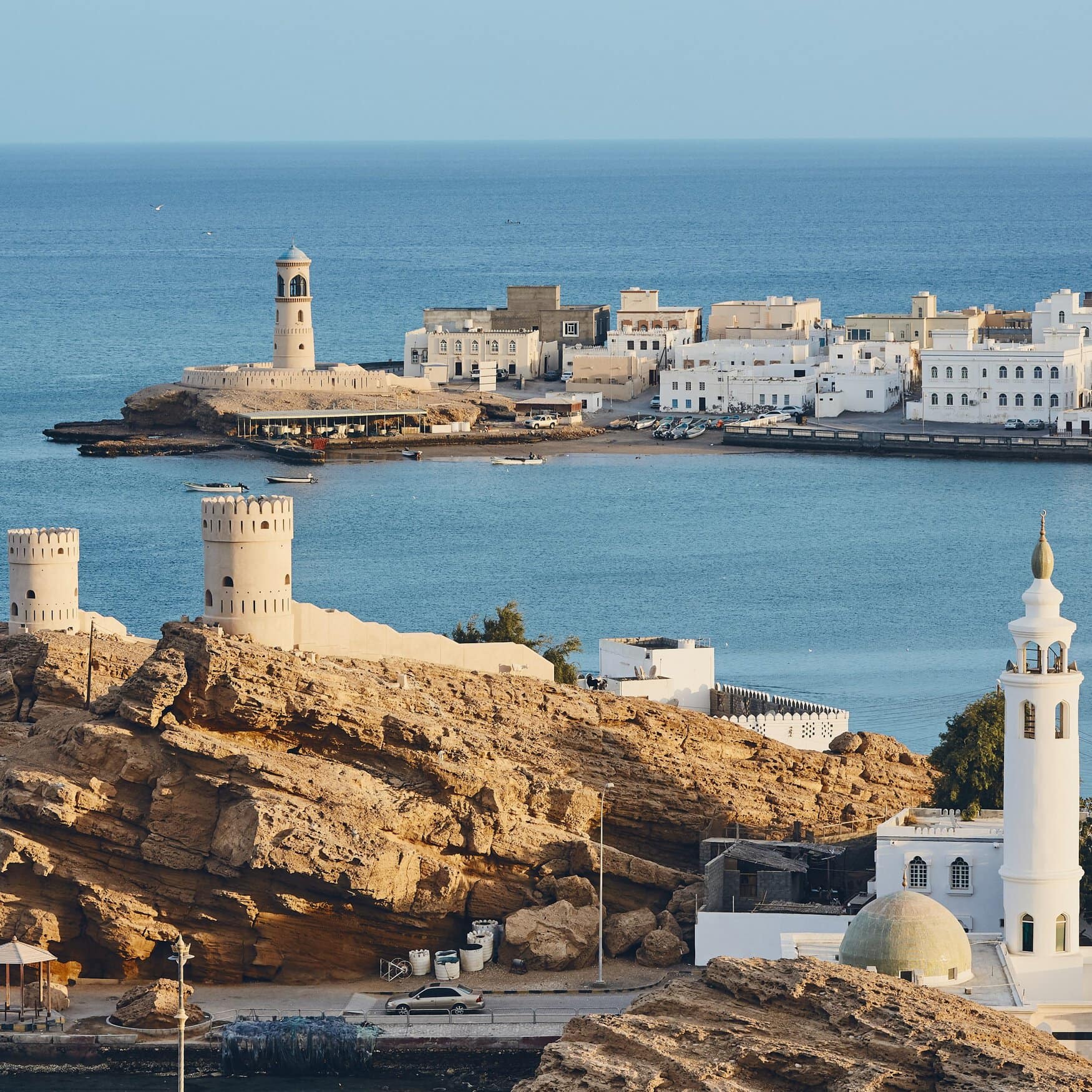 Omani Fertilizer Plant Aims for 100,000 Tonnes of Organic Fertilizer Annually