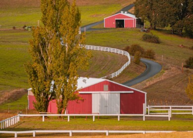 Oregon counties secure $1.7mn to address nitrate water contamination