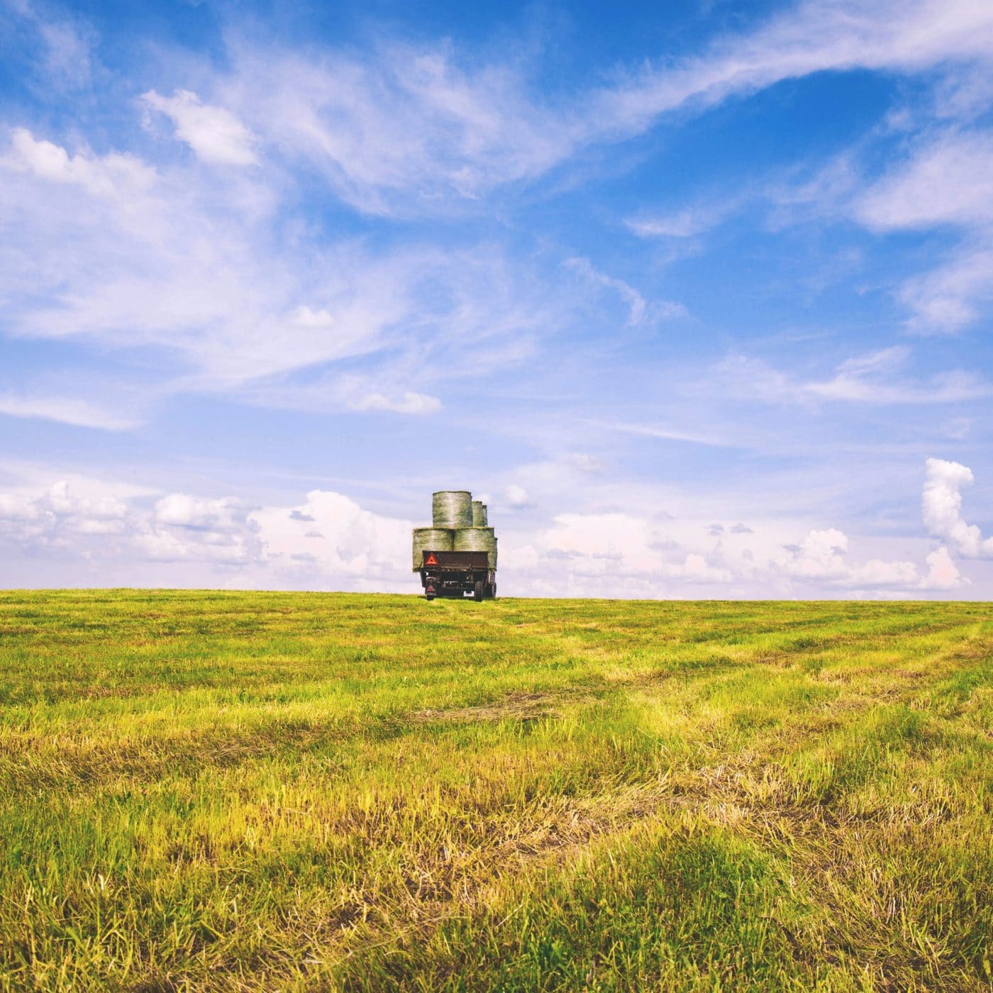 ANWIL says its new nitrogen fertilizer production line is nearing completion